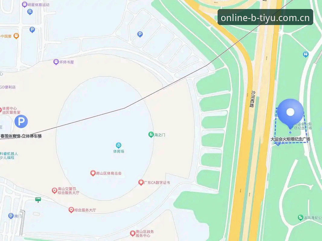 B体育用户评价 B体育用户评价深度解读与平台使用完整指南
